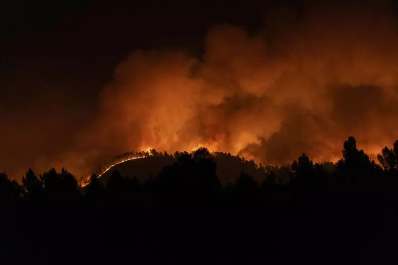Forest Fire Broke Out - Spain