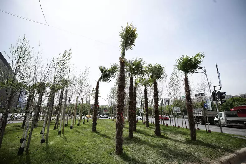 34614502113294317009442011996230158167569210n