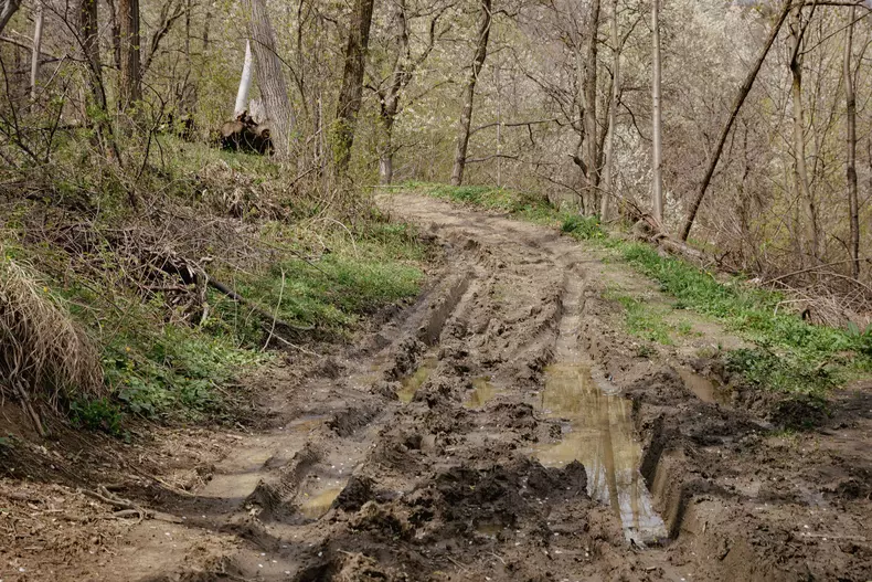 scoala-pietriiceaua-p-115