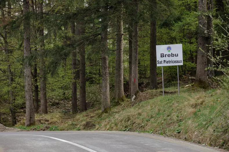 scoala-pietriiceaua-p-134