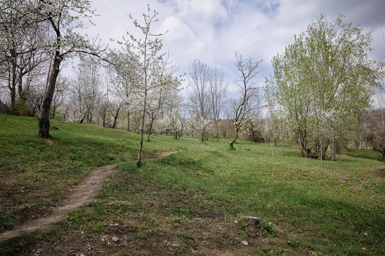 scoala-pietriiceaua-s-120