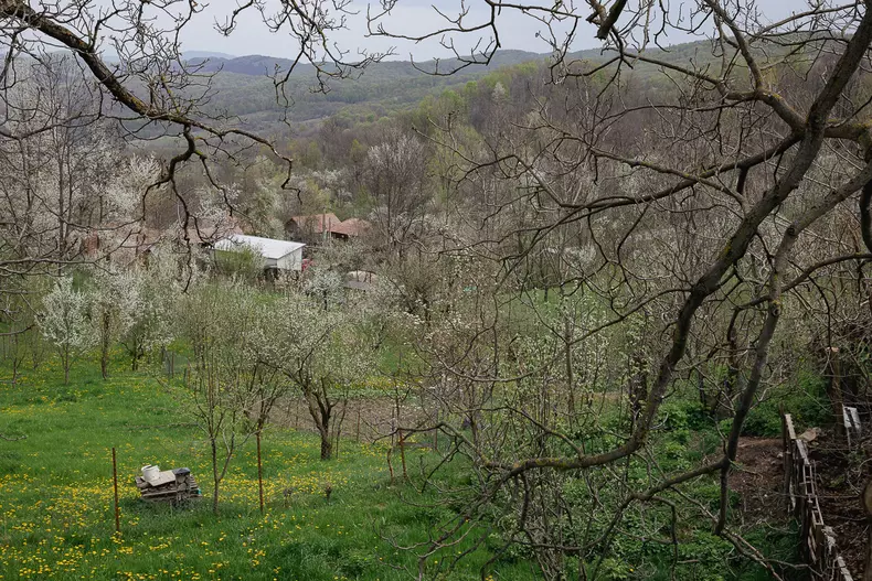 scoala-pietriiceaua-s-133