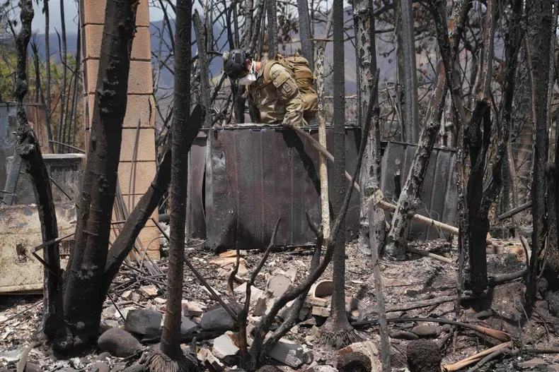 Wildfires in Hawaii