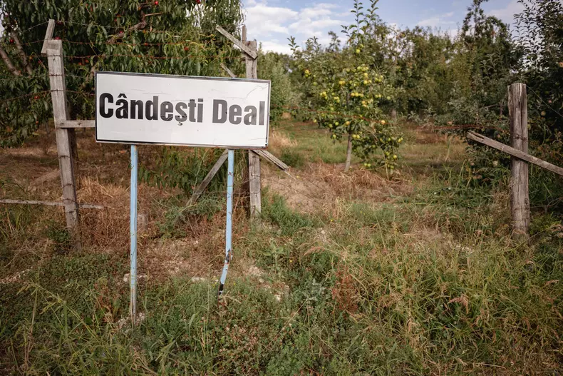 candesti-apa-p-70