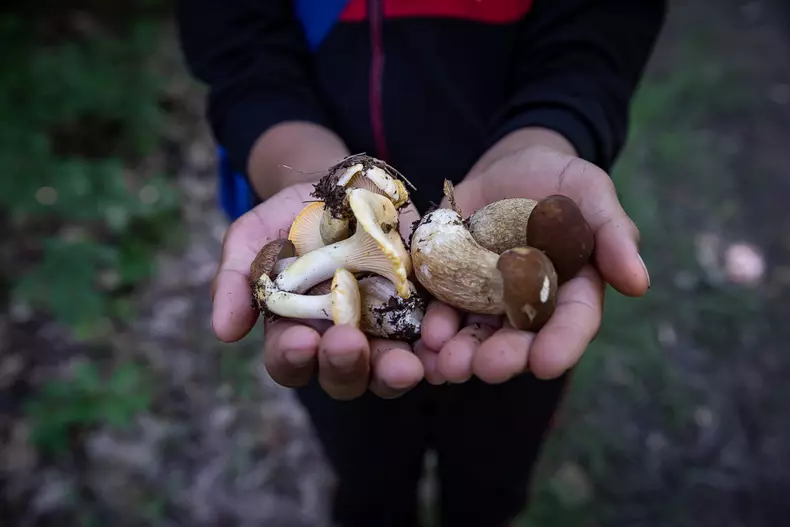 copii-scoala-padure-s-38