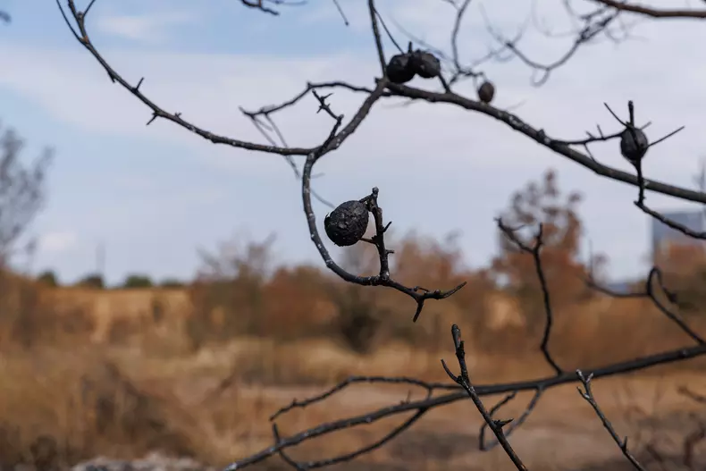 un-nuc-a-fost-ars-complet