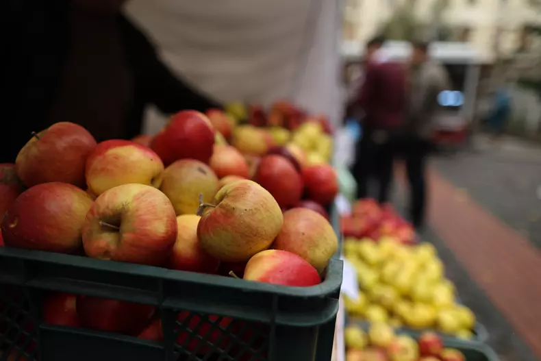 targ minister vlad chirea libertatea 07
