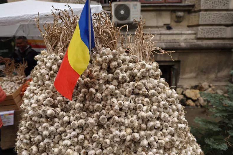 targ minister vlad chirea libertatea 08