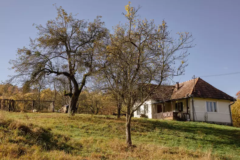 zacusca-razvan-idicel-p-49