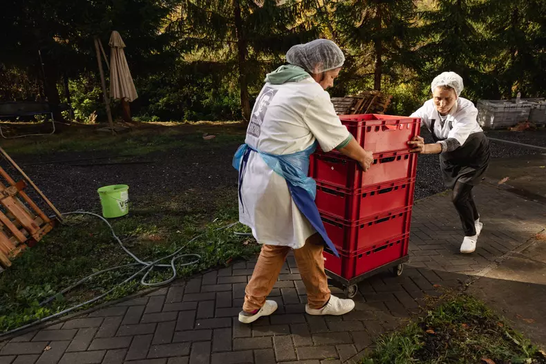 zacusca-razvan-idicel-p-54