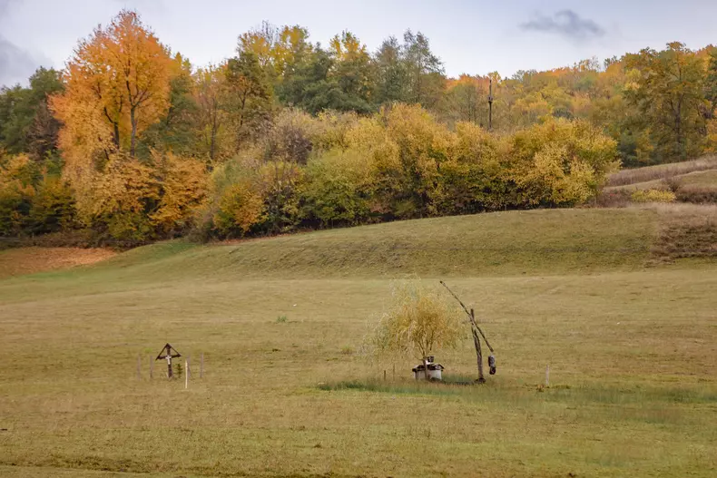 zacusca-razvan-idicel-p-62