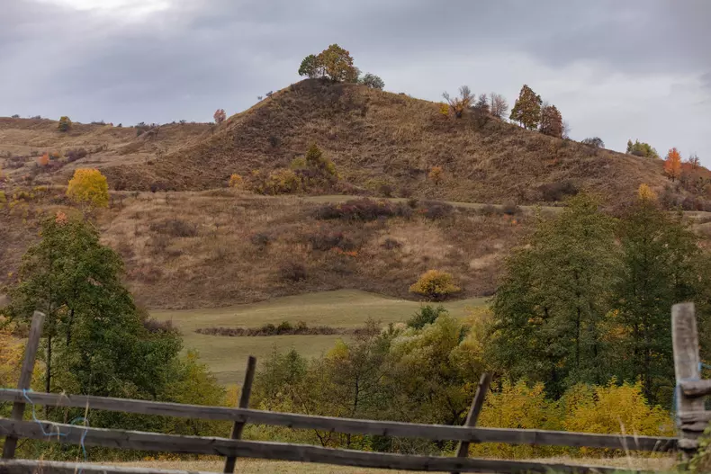 zacusca-razvan-idicel-p-63