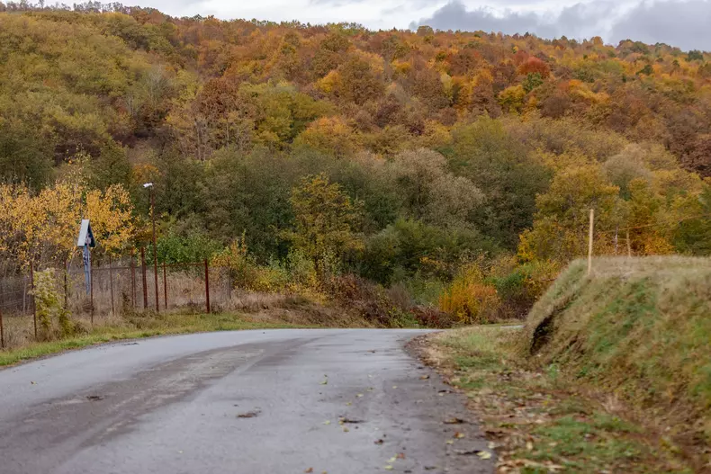 zacusca-razvan-idicel-p-65