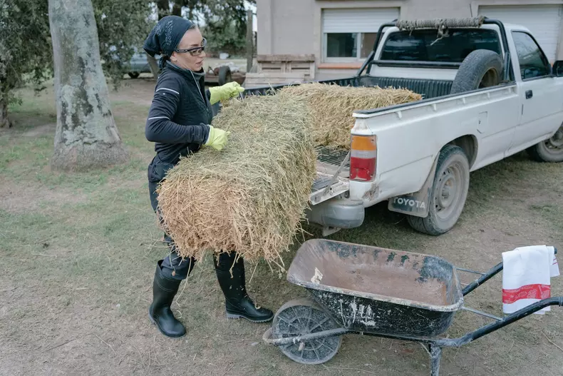 america-express-echipele-se-despart-1