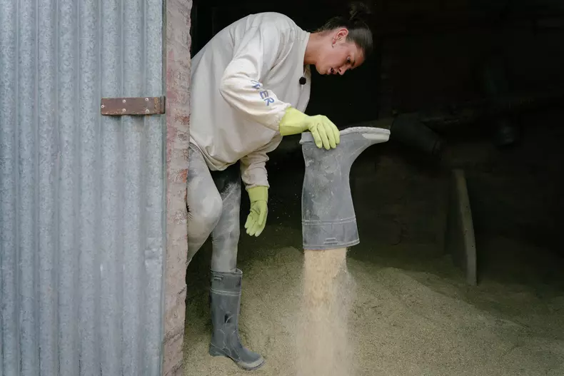 america-express-echipele-se-despart-4