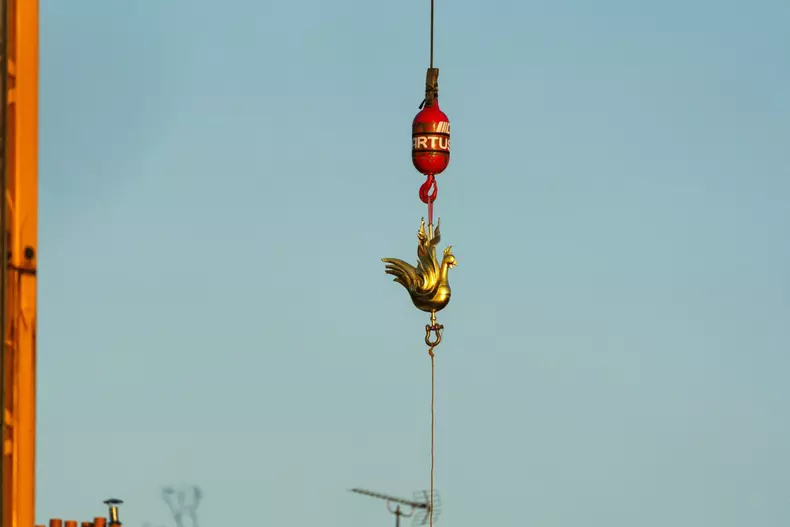Golden Rooster On The Spire Of Notre Dame - Paris