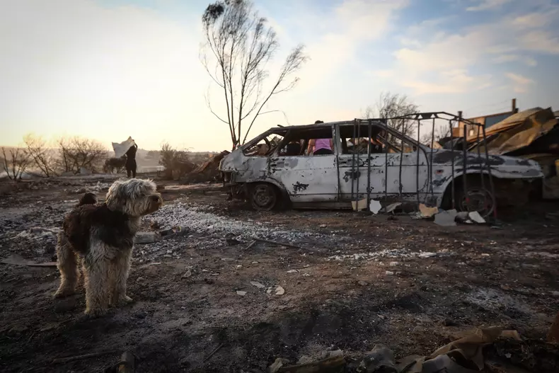 profimedia-0843557236