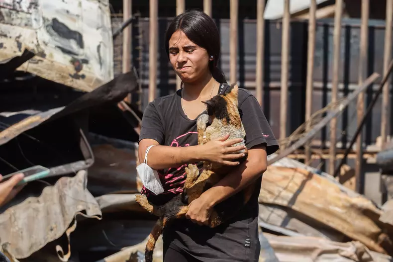 Development of the Mega fire that occurred in Vina del Mar - 03 Feb 2024