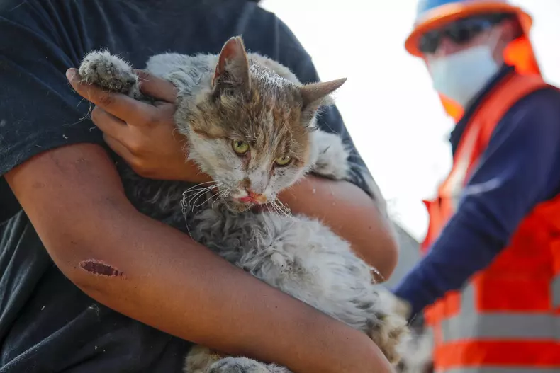 profimedia-0843719530