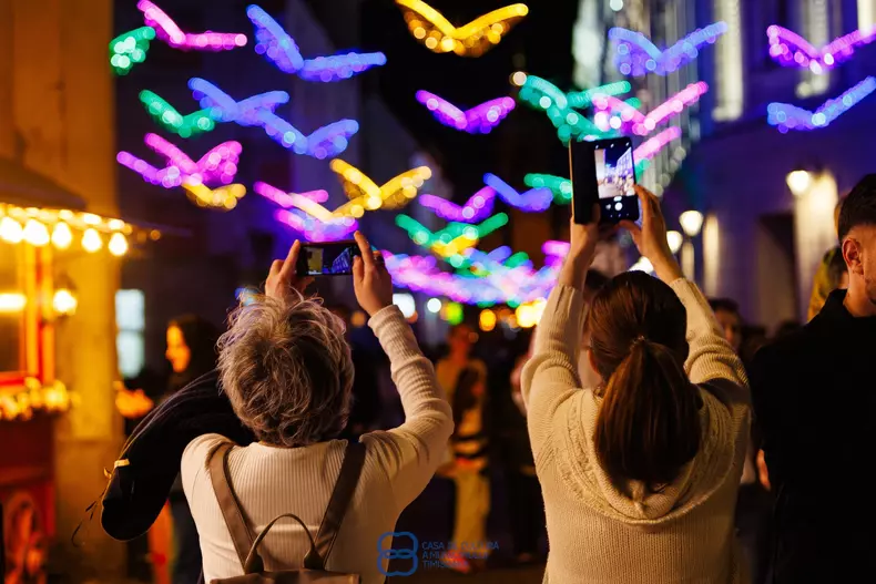 4347570914532287237271655073026588470099293n