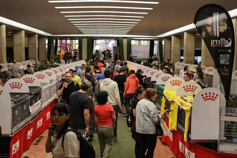 4359291828233829557844455659582690910669686n