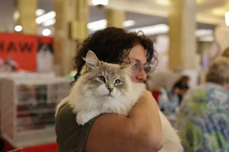 4362590778096850973238101720824583573749066n