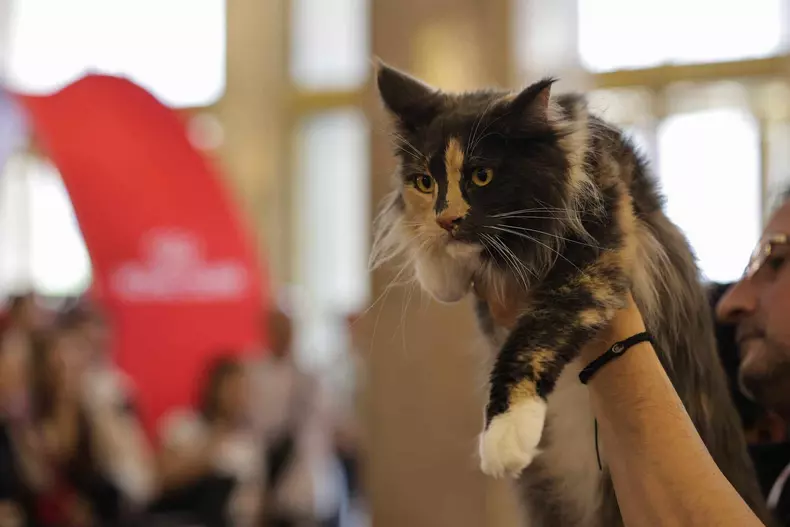 4365861483256921970079943065731836279092873n