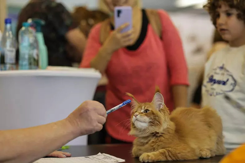 4419958619701530844944751989240390904586617n