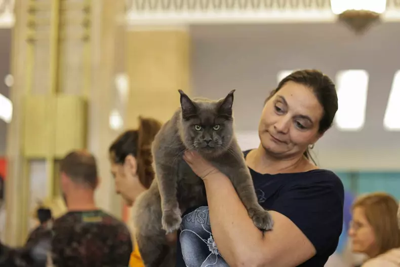 4419996409610592889820854304302181673876532n