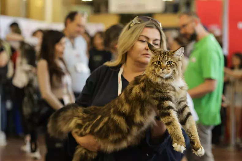 4420172929744716873906216647067387481579622n