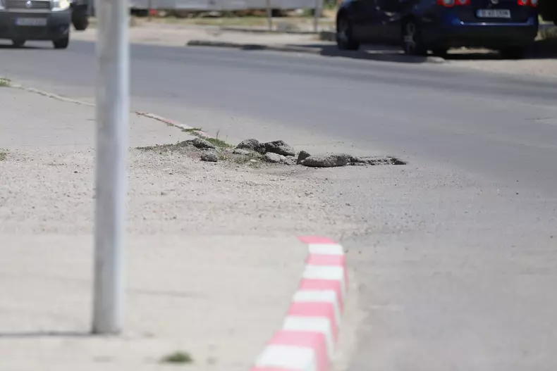 mitus-unguri-in-videle-5