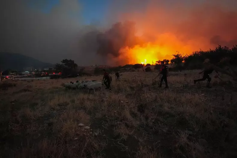 incendii izmir profimedia 5