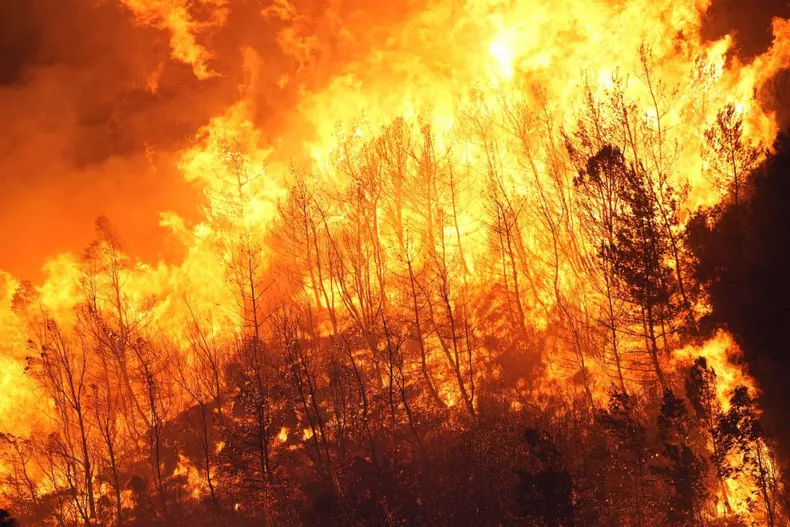 incendii izmir profimedia 8