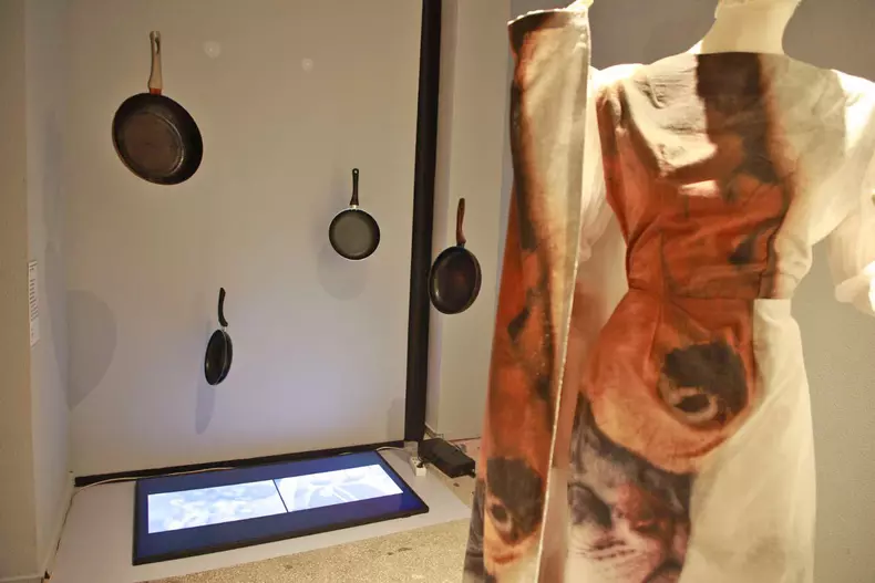 456572129_849013540692248_369563589403071159_n