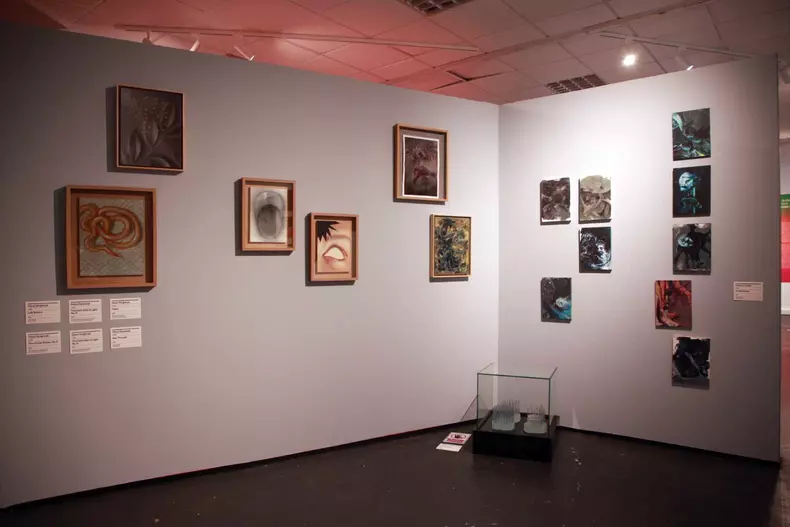 457515419_361963553648053_5971931391363933716_n