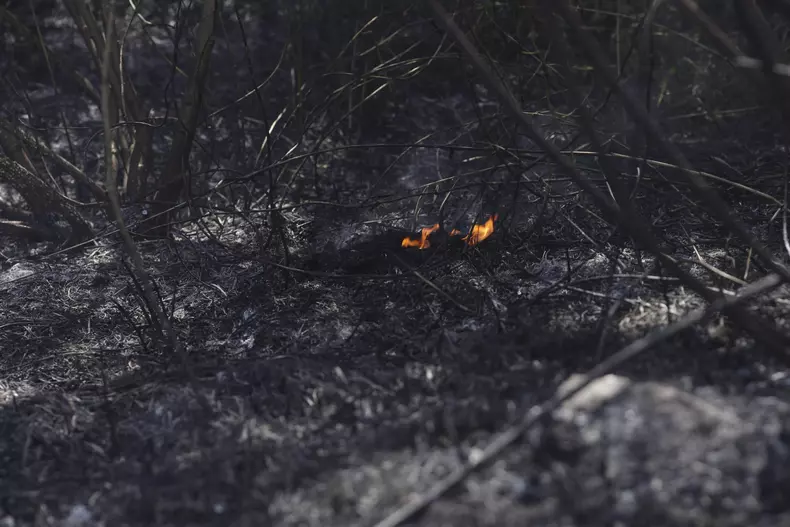 INCENDIU_DRAGOMIRESTI-VALE-IF014_INQUAM_Photos_Octav_Ganea