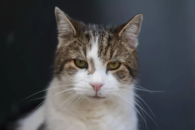 Prime Minister Kier Starmer Leaving For PMQs