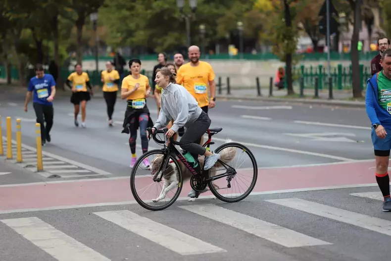 maraton4-bucuresti-libertatea-dumitru-angelescu