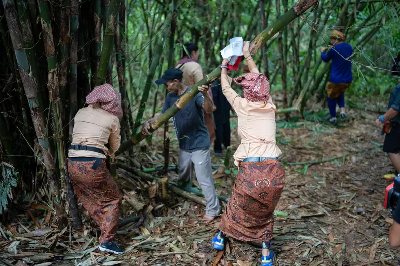 Misiunea din pădurea de bambus