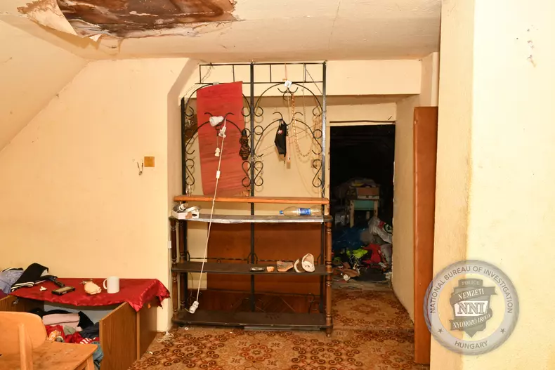 2024-11-15_realizalas-GALERIA-05