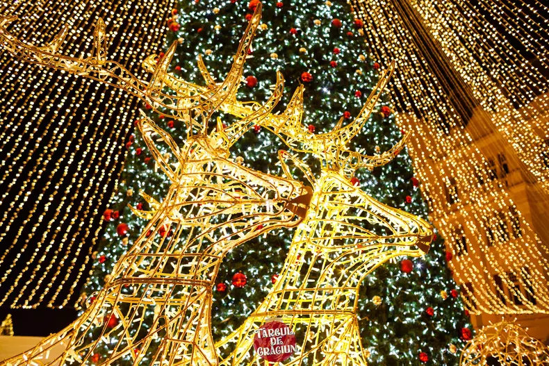 406652107_884410779914990_4593657563093629474_n