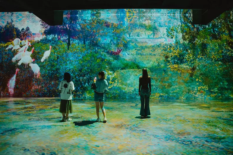Monet The Immersive Show, o expoziție unică care aduce la viață lucrările celebrului Claude Monet prin proiecții 3D. FOTO MINA CLUJ