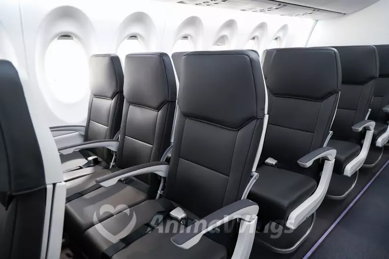 Prima aeronavă Airbus A220-300 a companiei AnimaWings-1