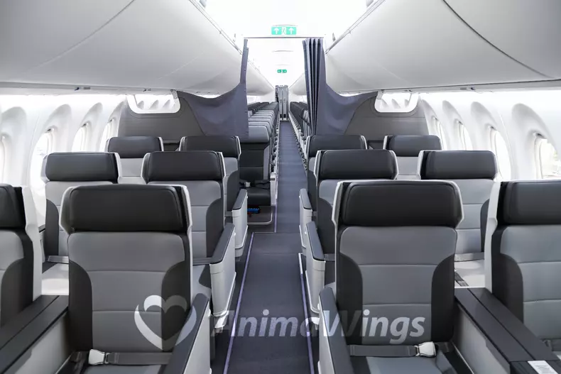Prima aeronavă Airbus A220-300 a companiei AnimaWings-4