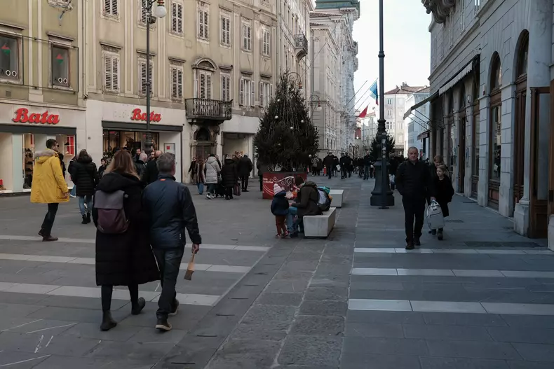 Ilustratie trieste (10)