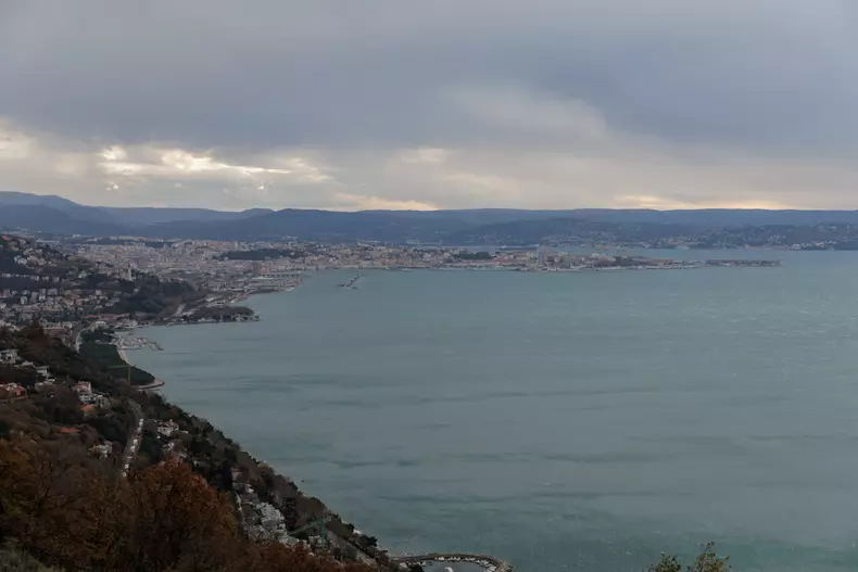 Ilustratie trieste (20)