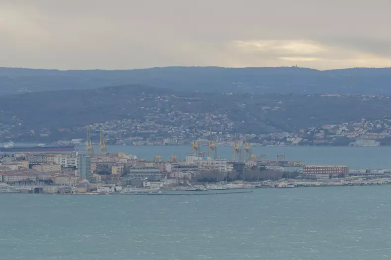 Ilustratie trieste (24)