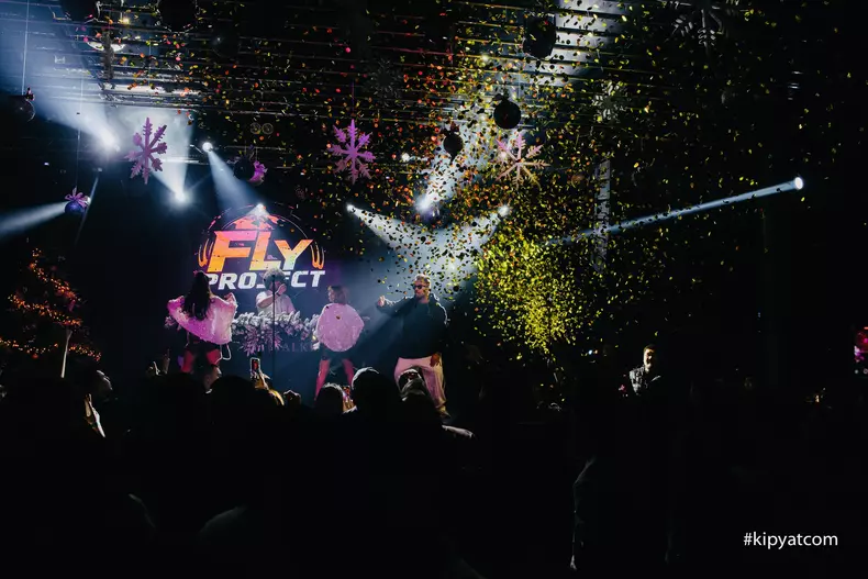 tudor ionescu fly project (1)