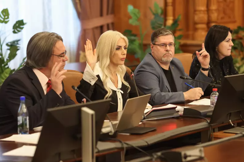 Laura Vicol la Comisia juridică FOTO Sabin Cîrstoveanu / Inquam Photos