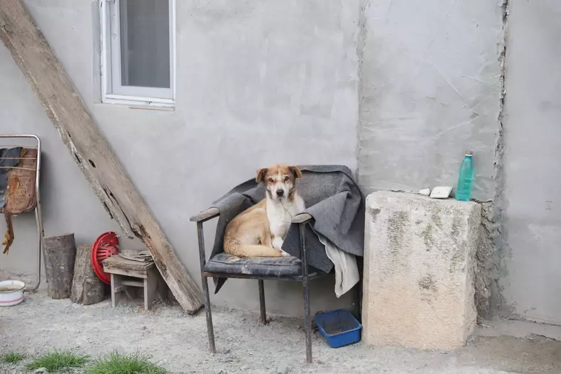 mitus - satul Casian (28)